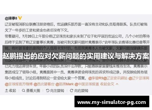 赵鹏提出的应对欠薪问题的实用建议与解决方案 赵鹏提出的应对欠薪问题的实用建议与解决方案