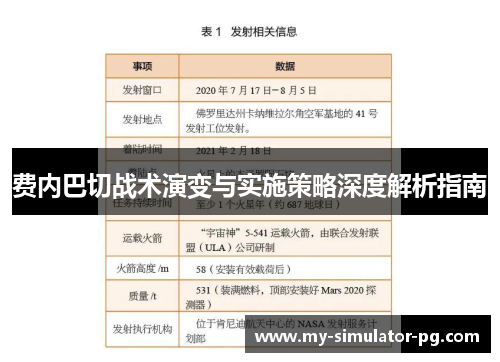 费内巴切战术演变与实施策略深度解析指南