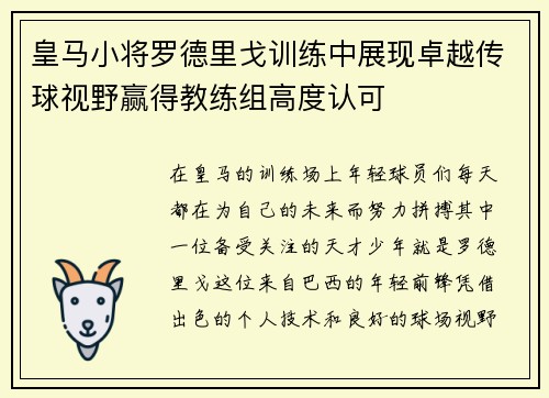 /uploads/images/20260617/huang-ma-xiao-jiang-luo-de-li-ge-xun-lian-zhong-zhan-xian-zhuo-yue-chuan-qiu-shi-ye-ying-de-jiao-lian-zu-gao-du-ren-ke.webp