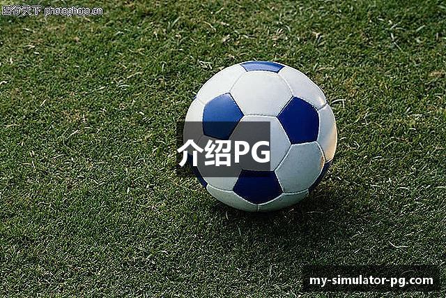 介绍PG